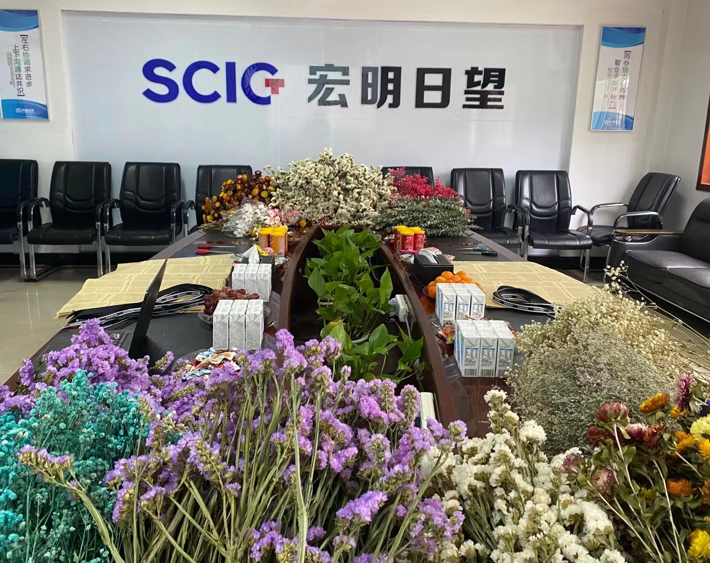 同乐城在线,宏明日望,株洲电子科技,湖南电容器,株洲电容器,电容器
