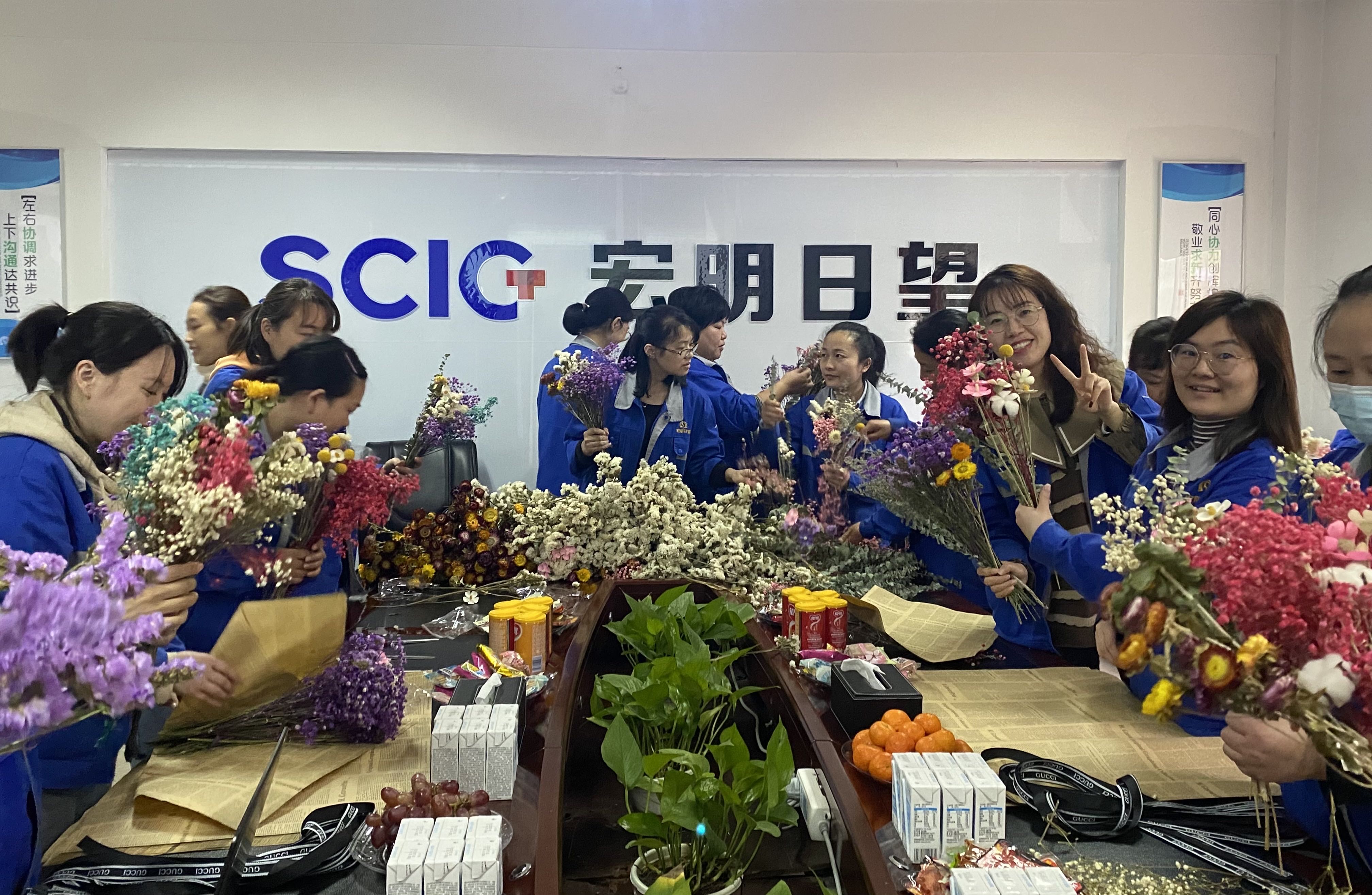 同乐城在线,宏明日望,株洲电子科技,湖南电容器,株洲电容器,电容器